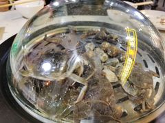 -同道蒸汽海鲜烧烤自助(刘庄夜市店)