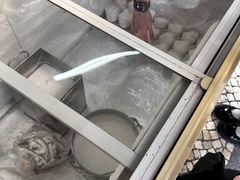 -洪馨椰子
