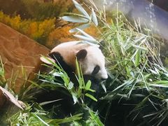 -百签宫串串香重庆火锅(夏湾店)