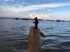 -北海金海湾红树林生态旅游区