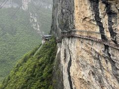 -鹿院坪生态旅游景区