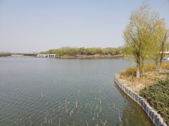 -大兴滨河森林公园