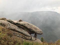 -芦芽山旅游度假区