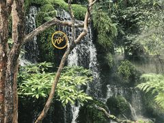 -Chom Cafe and Restaurant