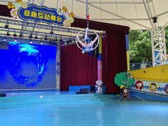 -史努比缤纷世界