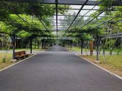 -东平国家森林公园