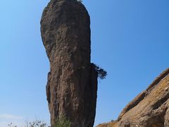 -磬锤峰森林公园