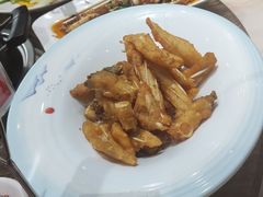 -港升鱼师傅·中山脆肉鲩