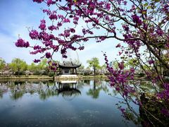 -无锡蠡湖国家湿地公园-蠡园