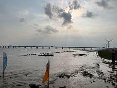 -南汇新城海滩