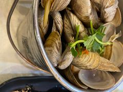 一桶黄蚬-渔娘渔家丹东海鲜(东直门店)