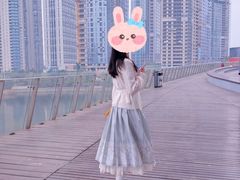 -梅溪湖城市岛