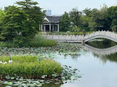 -映月湖公园