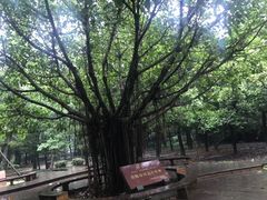 -福清灵石山国家森林公园