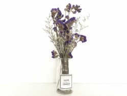 -VON半永久眉学设计