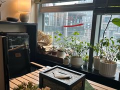 -Lazy Time Massage南亚按摩小馆(大悦城店)