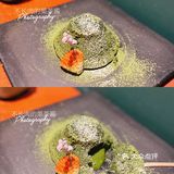 果茶探店 | 抹茶主题甜品专营店：冬日来点清新绿🌿🤣