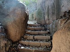 -鲁山国家森林公园