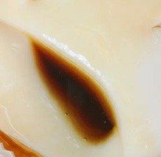 -义钦豆腐花