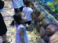 -华夏文旅海洋公园