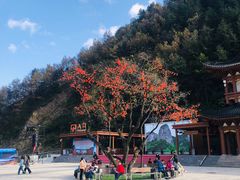 -秦岭天竺山生态文化旅游景区