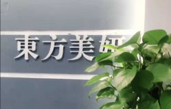 -东方美妍