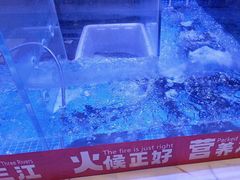 -三江源活鱼现烤(维多利摩尔城店)