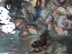 -淇沙湾渔村餐厅