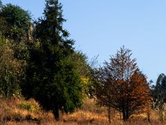 -山王坪喀斯特国家生态公园