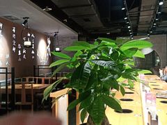 -呷哺呷哺 黄金牧场 (新中关购物中心店)