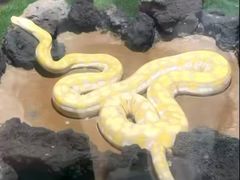 -杭州野生动物世界