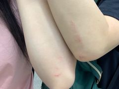 -世界之窗阿尔卑斯冰雪世界