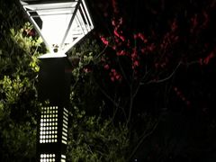 -青岛海景花园大酒店