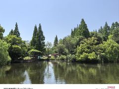 -上海滨江森林公园