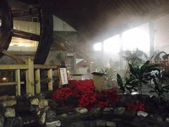 -河北霸州茗汤日月潭温泉
