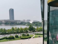 -羲和雅苑•北京烤鸭(乐园道万象城店)