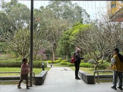-南宁荔园维景国际酒店·荔园中餐厅