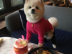-the rug 飞毯 (朝阳公园店)