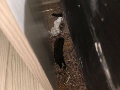 -蓝地时尚庄园(北京清河营地铁站店)