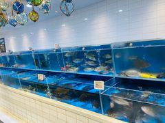 水产区-T11生鲜超市(朝阳公园店)