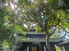 -天一阁博物院