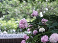 -常州古运河南大街文化旅游区-人民公园