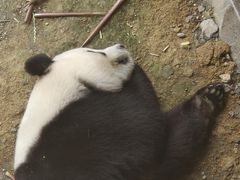 -宁波野生动物园