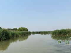 -微山湖红荷湿地景区