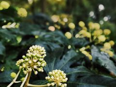 -杭州城北体育公园