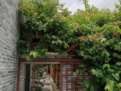 -顺德了能馆(虎门店)