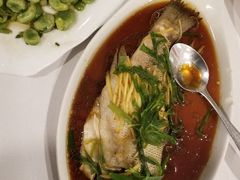 -海派铜锣湾(打浦路店)