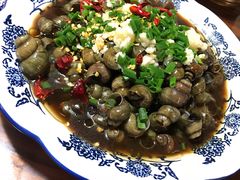 -呼吸森林·生态农庄农家乐私房菜