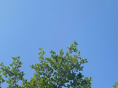 -厦门园林博览苑