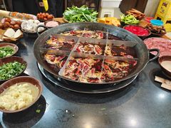 -肥龙火锅(南坪店)